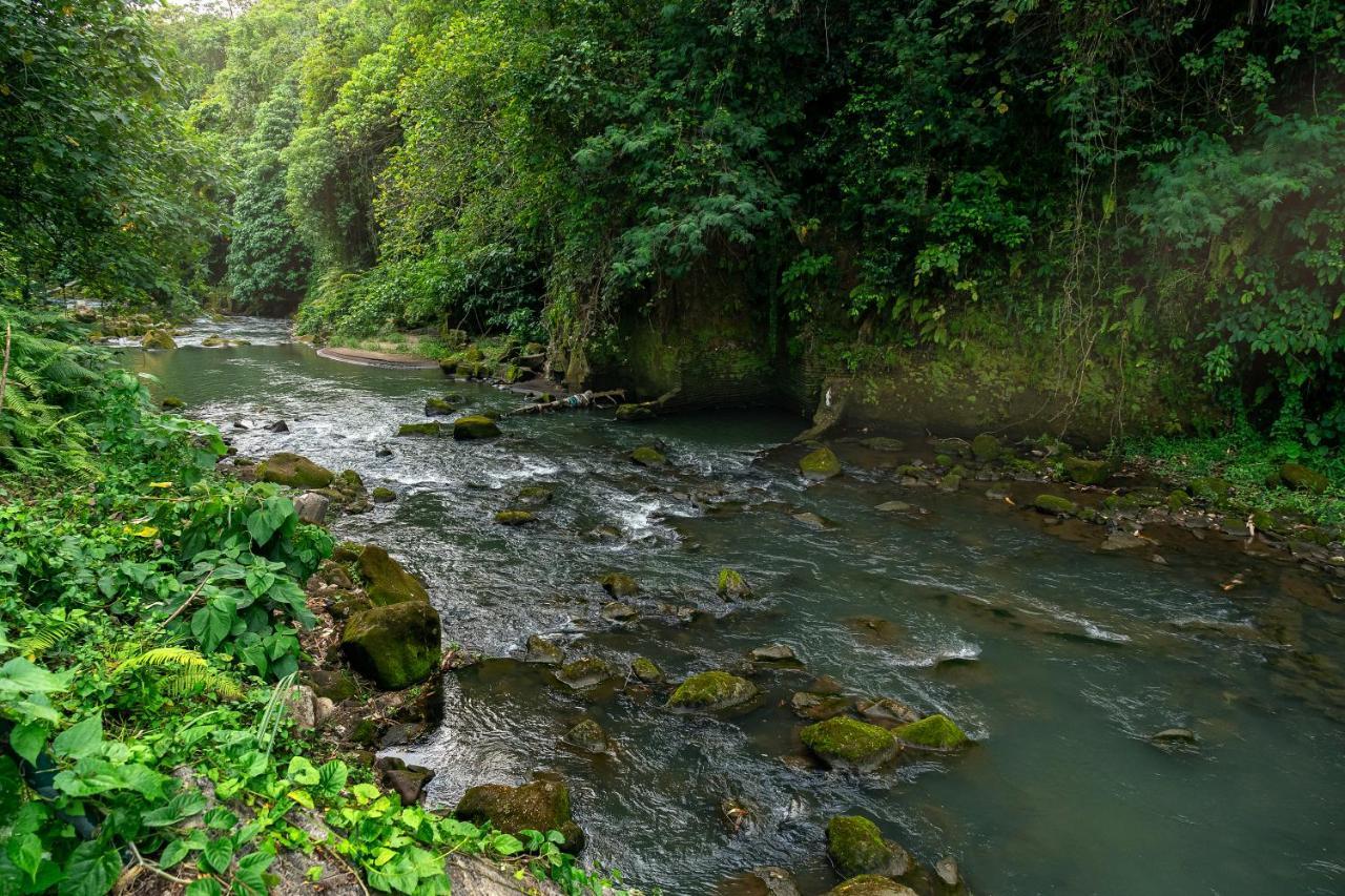The Pyramid Ubud River Villas Gianyar  Luaran gambar